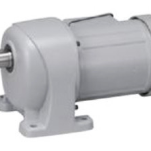 Parallel Shaft (G)(15W-90W)