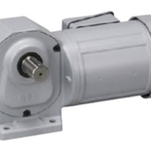 Right Angle Shaft (H2) (0.1kW-2.2kW)