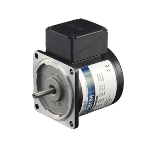 Motor DKM Đảo Chiều 